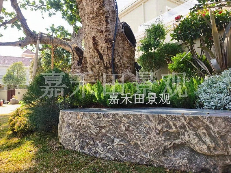 樹(shù)木在園林景觀設(shè)計(jì)中有哪些作用？