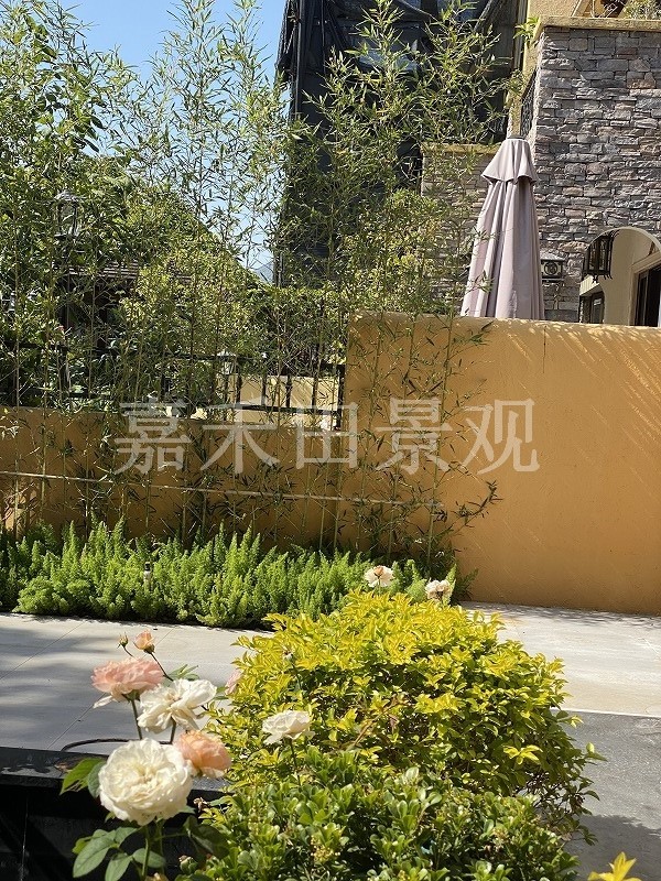 別墅花園的養(yǎng)護技巧包括哪些方面？